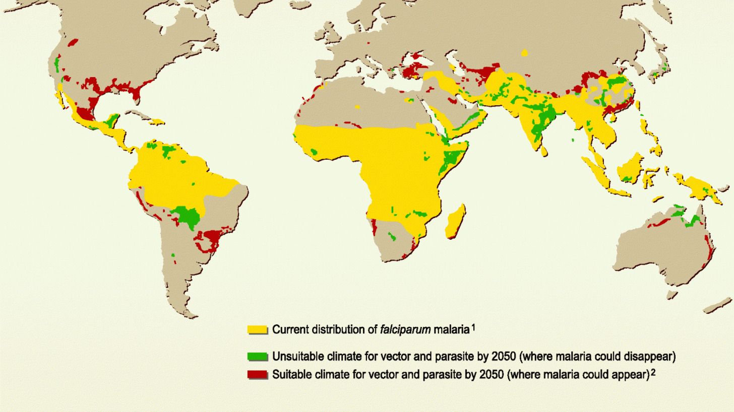 malaria