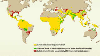 malaria