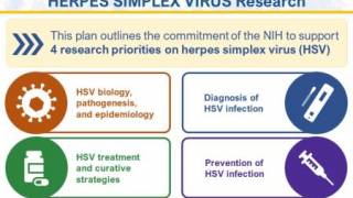 Herpes vaccine 2023
