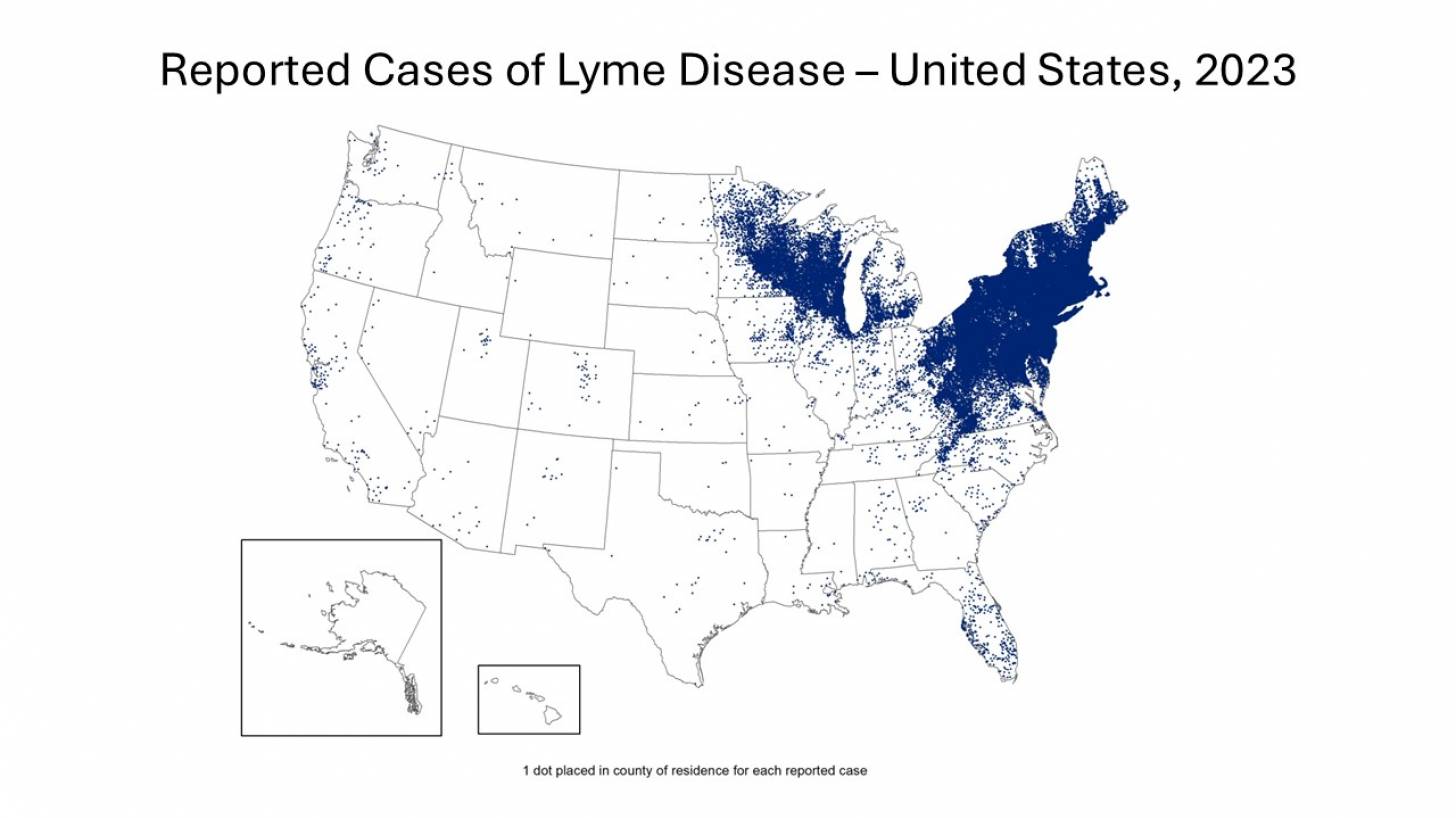 Lyme disease vaccine