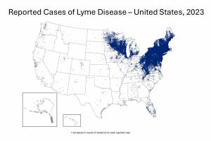 Lyme disease vaccine