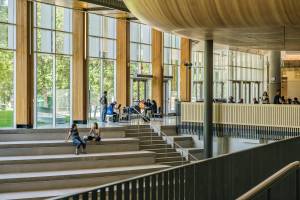university students