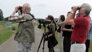 Bird flu outbreaks 2023