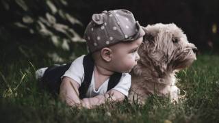 toddler boy looking at his dog