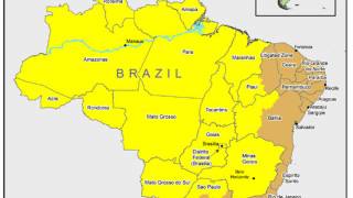 yellow fever vaccine 2025
