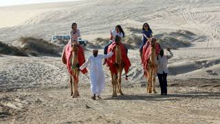 MERS from camels