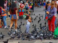 children and folks in a square feeding birds