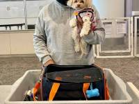 Airport security 