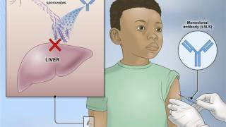 malaria