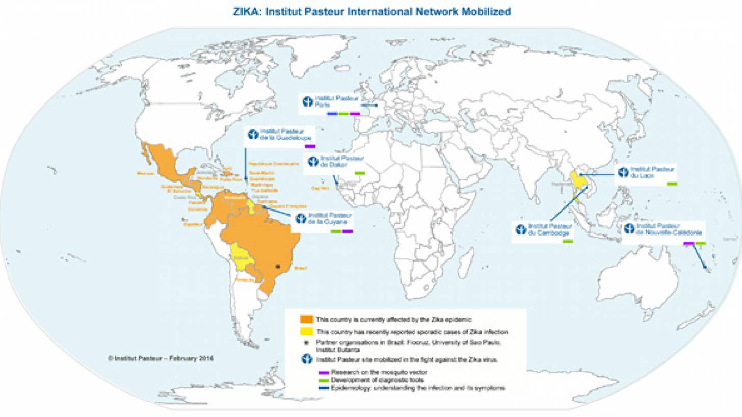 Zika vaccine