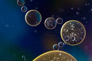 depicition of cancer cells
