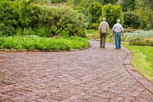 old friends walking on a path talking