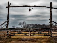 texas ranch