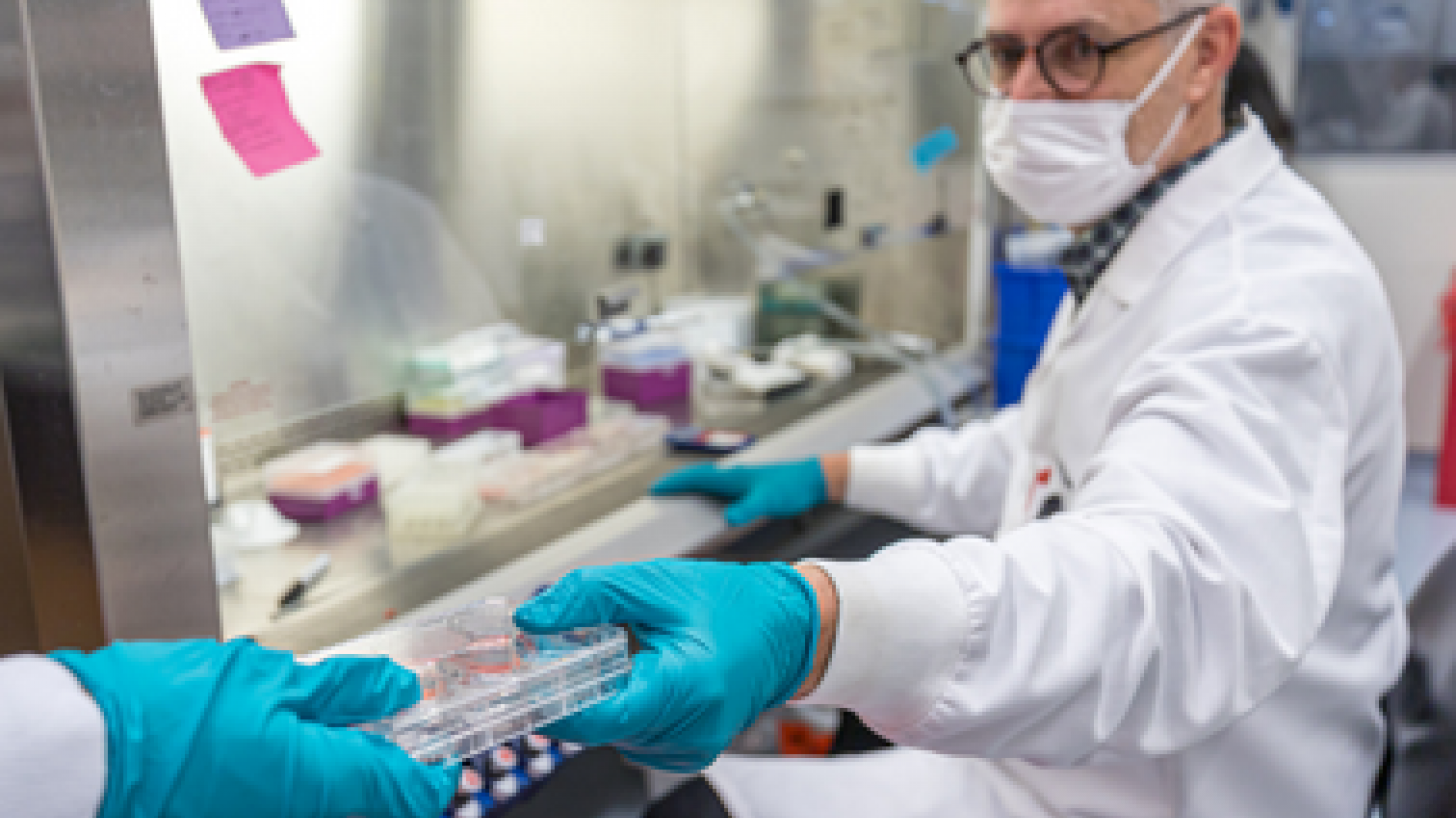 Vaccine development
