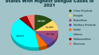 dengue vaccine