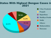 dengue vaccine
