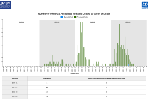 Flu season deaths