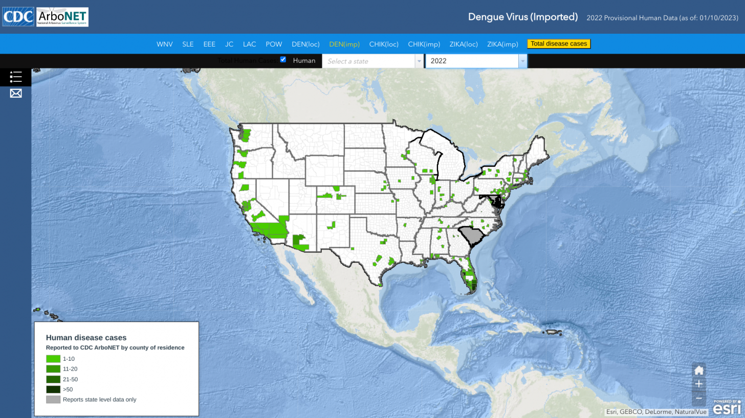 Dengue disease 2023