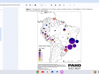 Yellow fever cases 2023