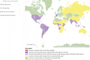 Zika cases 2024