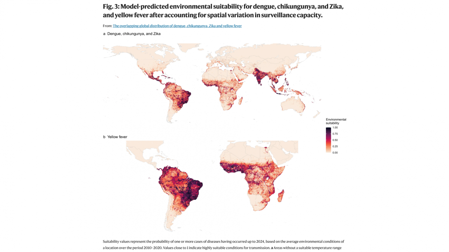 dengue vaccine