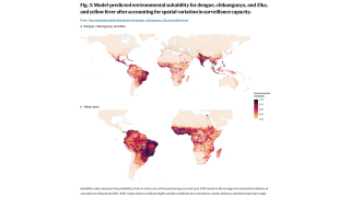 dengue vaccine