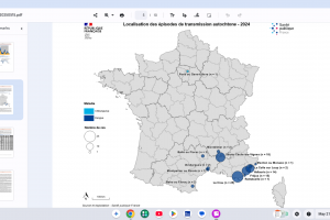 chikungunya vaccine