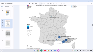 chikungunya vaccine
