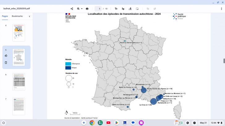 chikungunya vaccine