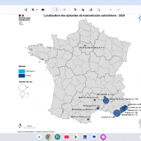 chikungunya vaccine