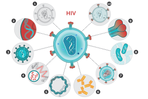HIV vaccine
