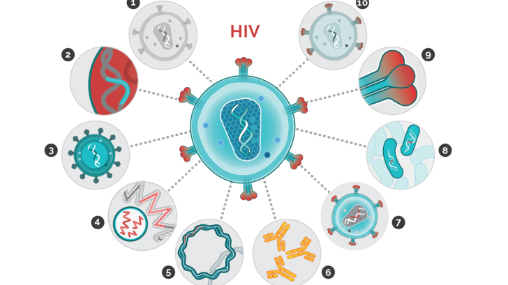 HIV vaccine