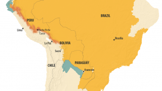 yellow fever vaccine